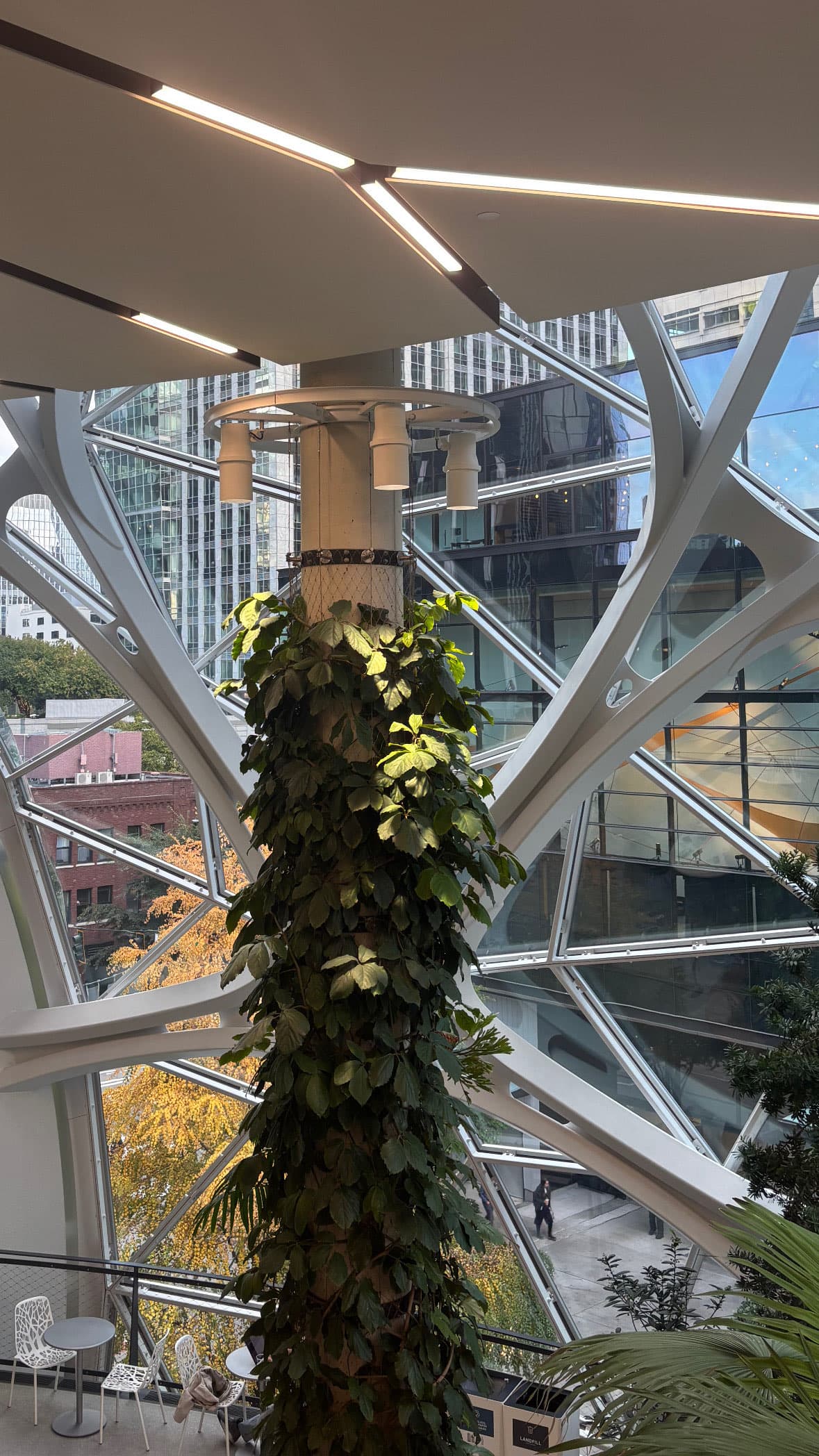 Amazon Sphere Interior